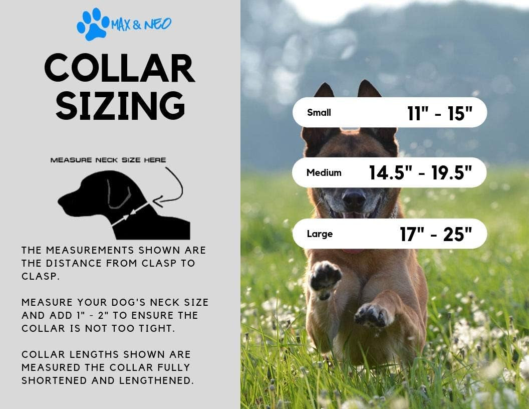 Plaid Pattern NEO Dog Collar - We Donate a Collar to a Dog Rescue for Every Collar Sold (Purple, Large)